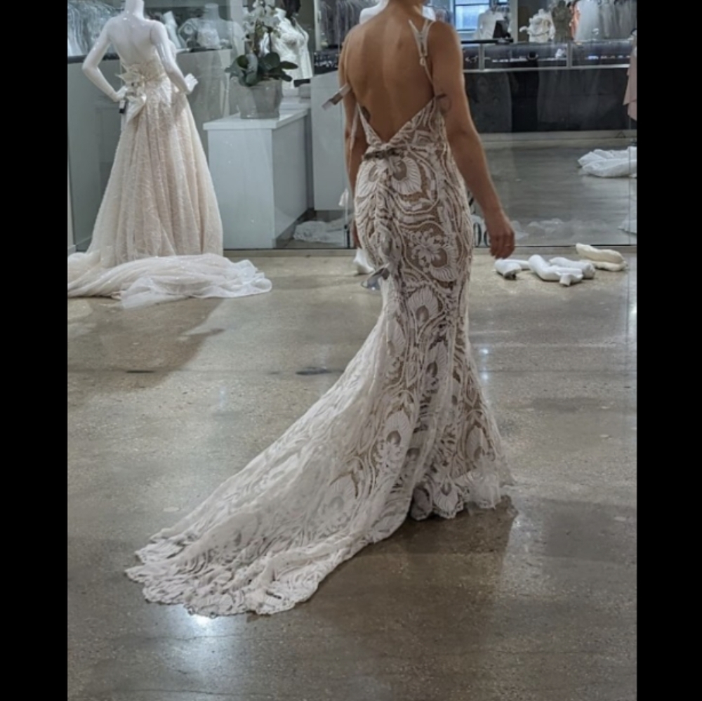 Exquisite Cream Lace Bridal Gown - Picture 4 of 5